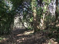 otta Comune-20100225 007